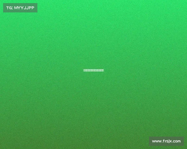 法国国内赛事—法国比赛记录