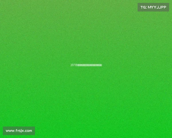 2018武术赛事精彩回顾与全面信息深度解析