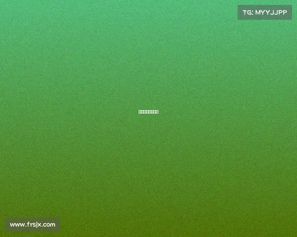 女排最新赛事安排